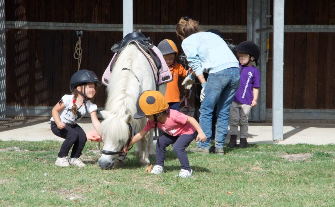 Bambini che praticano i corsi di equitazione etologica alla Scuderia Cento Fiori