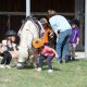 Bambini che praticano i corsi di equitazione etologica alla Scuderia Cento Fiori