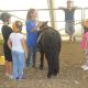 Bambini con un pony durante la lezione di Equitazione Etologica nel maneggio coperto della Scuderia Cento Fiori a Vallecchio di Montescudo, Rimini