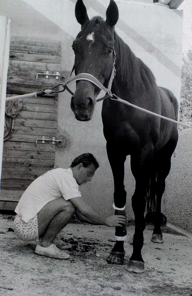 Artiere accudisce un cavallo alla scuderia Cento Fiori negli anni '80