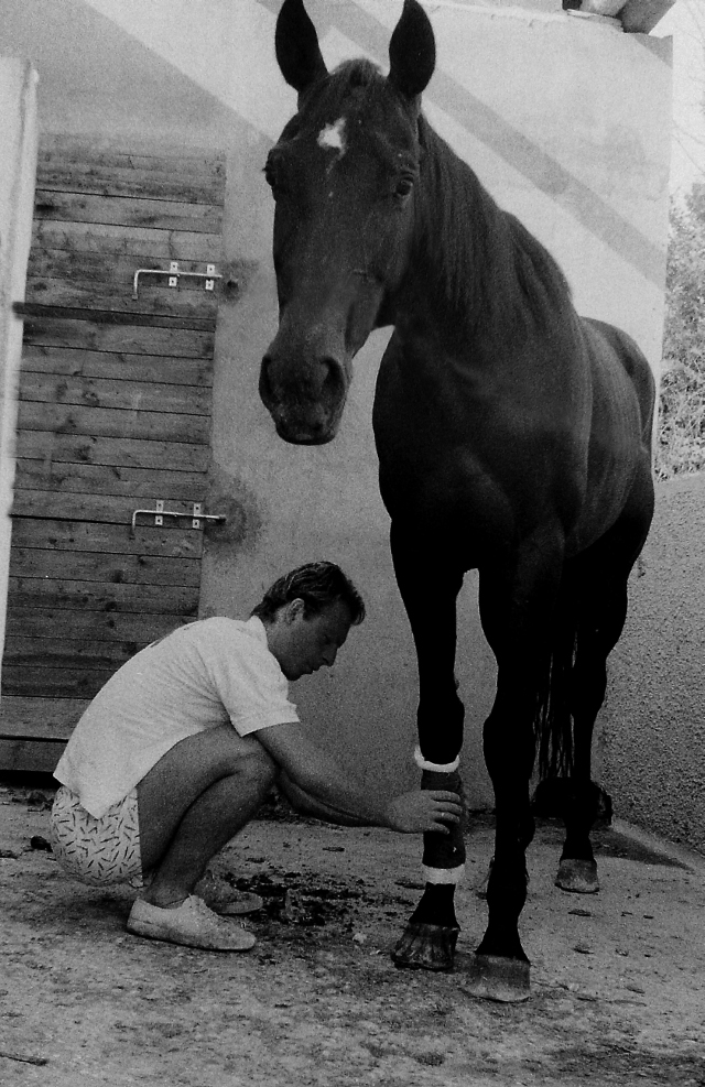 Artiere accudisce un cavallo alla scuderia Cento Fiori di Vallecchio negli anni '80