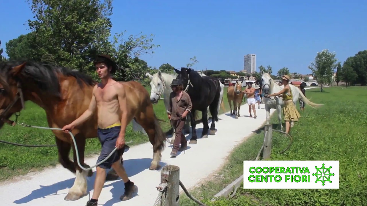 Vivaio La Serra Cento Fiori Rimini ospita cavalli Cirque Bidon